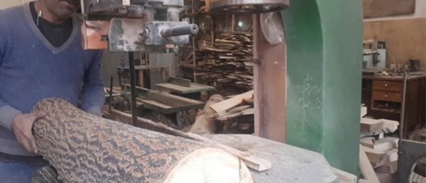 الوار چهار تراش رامبری شده پالونیا تخته پالونیا الوار پالونیا رام پالونیا جایگزین الوار نراد چوب روسی راش روسی