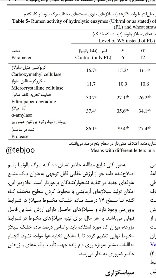 مقاله علمی برگ پالونیا علوفه دام برگ درخت پالونیا هیبرید نهال درخت پائولونیا هیبریدی شیراز