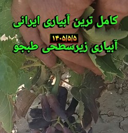 آبیاری زیرسطحی و فضای سبز 
