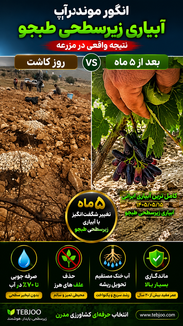 آبیاری زیرسطحی طبجو کاهش مصرف آب 