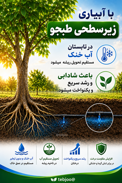 کاملترین روش آبیاری زیرسطحی ایرانی تحویل آب خنک به ریشه TEBJOO Subsurface Irrigation – Complete Tree Package