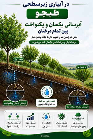 آبیاری زیرسطحی در سطح شیب دار کاهش مصرف آب 